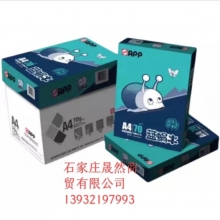 A4藍蝸牛復印紙 8包裝