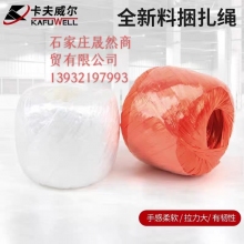 卡夫威爾捆扎繩 150G  130米/卷