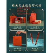 凌美lamy鋼筆新款磨砂綠橙禮盒套裝德國正品狩獵者”，顏色分類（磨砂橙墨水套盒）