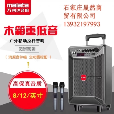 萬(wàn)利達(dá)拉桿音箱