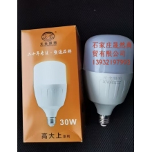 LED燈泡30W