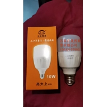 LED燈泡10W